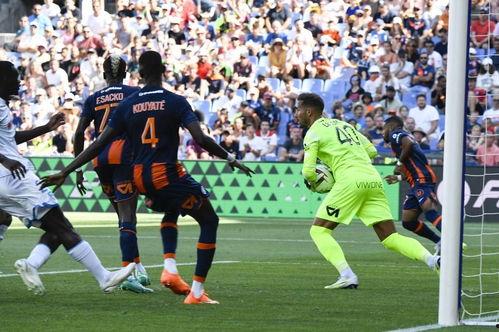 23-24赛季法甲第18轮：勒阿弗尔vs里昂